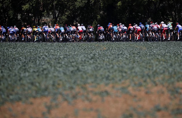 Pořadatelé cyklistické Tour budou s novými testy počítat nakažené od nuly