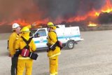 Při požáru v severní Kalifornii zahynuli další tři lidé. Obětí je celkem 11, oheň poničil na 2000 domů