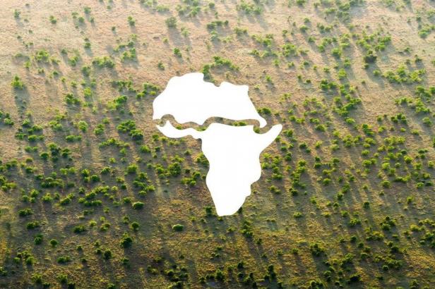 

Velká zelená zeď měla zachránit Afriku. Teď její projekt stagnuje

