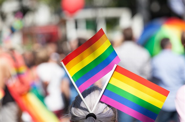 Homosexuální propaganda, odsoudila maďarská vláda knihu pohádek od leseb