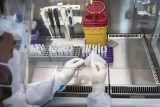 Polsko má rekordní počet nově nakažených i mrtvých, za poslední den přibylo 4280 případů koronaviru