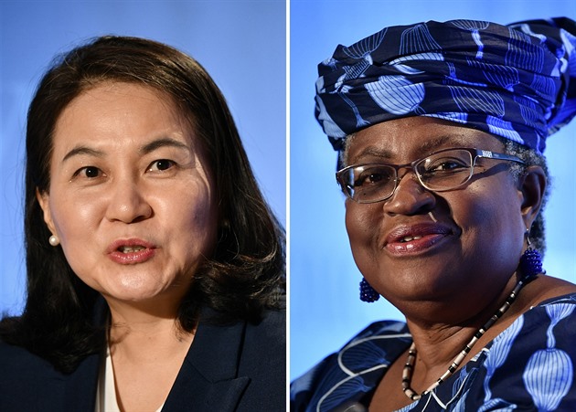 WTO povede poprvé v historii žena, bude čelit největší krizi za 25 let
