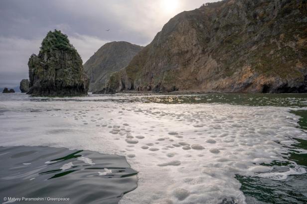 

Čtyřicet kilometrů dlouhá skvrna toxinů v moři u Kamčatky se podle vědců sune na jih

