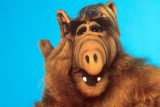 Seriál o chlupatém mimozemšťanovi slaví. Před 35 lety se poprvé na obrazovkách objevil Alf