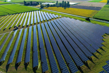 Čeští Greenbuddies získali obří kontrakt v Beneluxu. Postaví tam solární parky za čtyři miliardy
