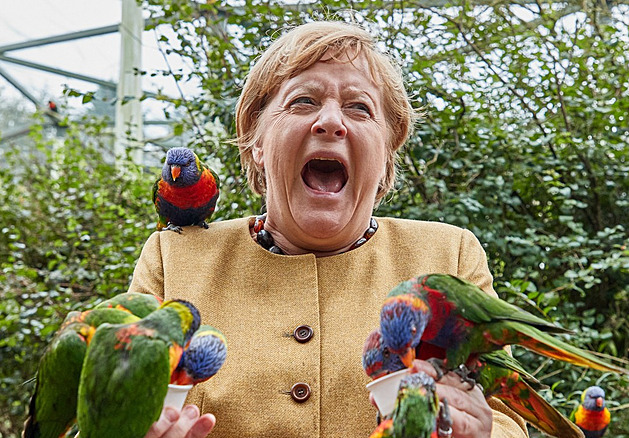 OBRAZEM: Au! Merkelová navštívila ptačí park, poklovali ji papoušci