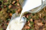 Olma kvůli mikrobiální kontaminaci stahuje z trhu čerstvé mléko v PET lahvích. Lidé jej mohou reklamovat