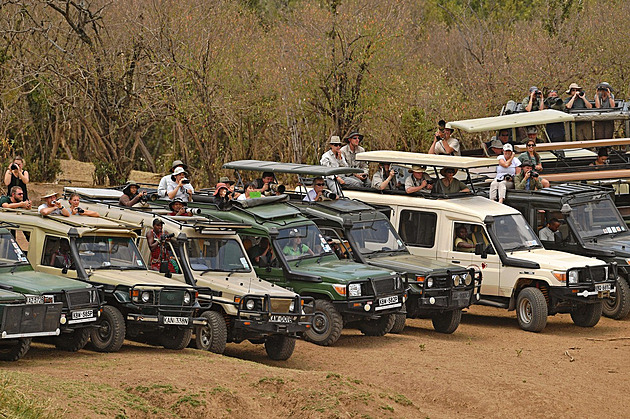 Ze safari v Keni se stává bezohledný masový hon na divoká zvířata