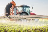 Konec pesticidů na dohled? Ekologové vyzývají Evropskou unii k záchraně hmyzu i malých farmářů