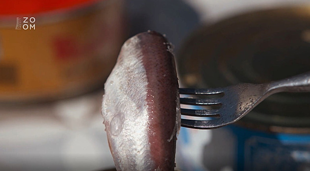 VIDEO: Nejsmradlavější jídlo na světě. To jsou švédské fermentované makrely