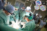 Rekordní počet transplantací v IKEM. Za rok 2021 vyměnili 542 orgánů, nejčastěji se jednalo o ledviny