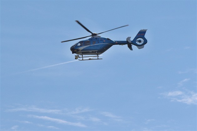 U Brandýsa nad Labem viděl muž medvěda, policie pátrá pomocí vrtulníku