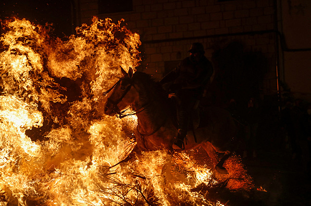 Koně skákali ve španělském městě skrz ohně. Tradice údajně zbavuje nemocí