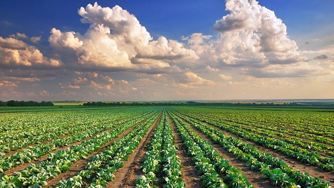 ČR prokázalo nízkou spotřebu pesticidů, i potraviny máme „čisté“