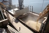ONLINE: Rusko blokuje v přístavech 22 milionů tun obilí, říká Zelenskyj. Hrozí nedostatek potravin