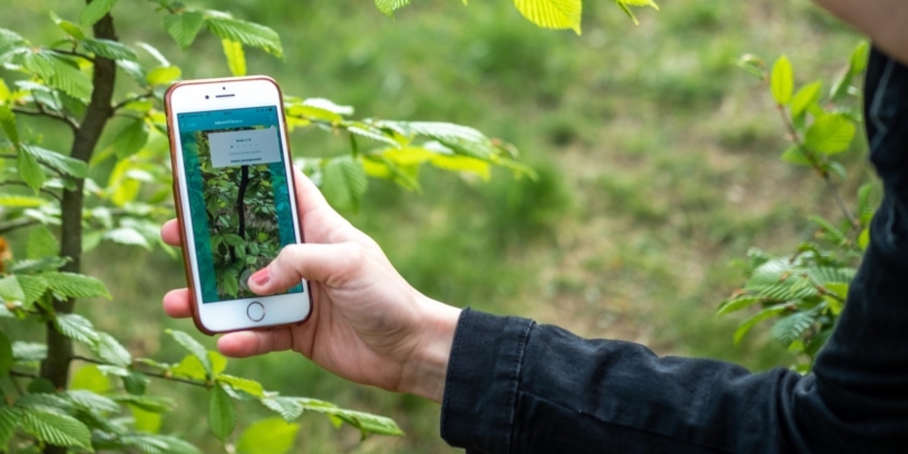 S novou českou aplikací můžete chytat stromy jako pokémony. A zároveň se vzdělávat v dendrologii