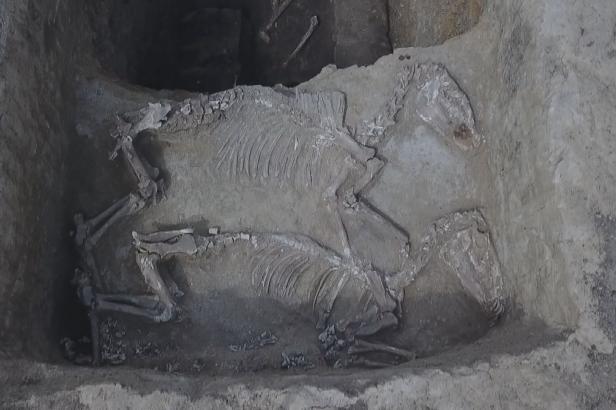 

Archeologové objevili na Chomutovsku hrob náčelníka a jeho zvířat z období stěhování národů 

