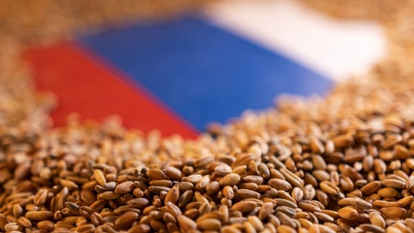 Rusko vítězí v chaosu, který samo způsobilo. Vydělává na prodeji obilí, zatímco blokuje ukrajinské přístavy