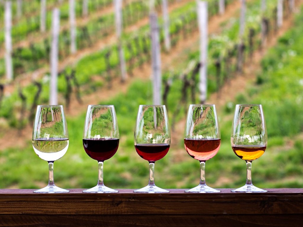 Víno opulentní nebo mohutné? Jak porozumět vínu aneb someliérské minimum v praxi