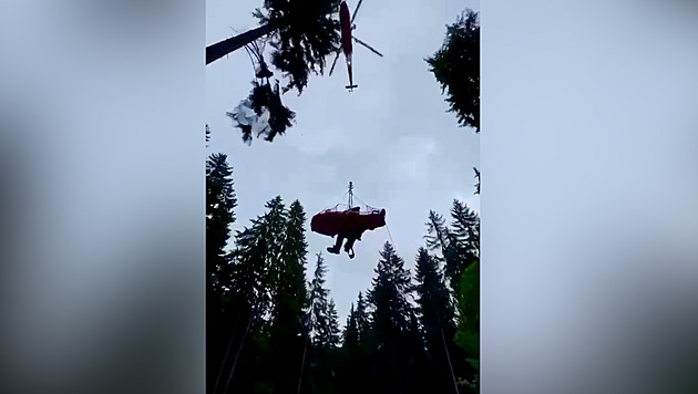 Na dělníka spadl strom, z lesa ho vyzvedli záchranáři s vrtulníkem