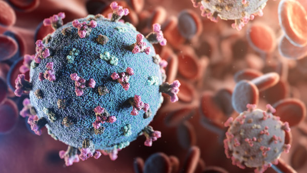 Vědci objevili protilátky, které dokážou zastavit staré inové verze koronaviru