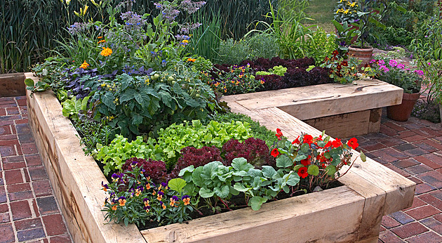 Ze zahrady teď sklízejte bylinky, opečovávejte rajčata, bojujte se slimáky