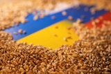 Farmář pomocí GPS zjistil, kam Rusové odváží ukrajinské obilí. Náklady míří přes Krym do Sýrie