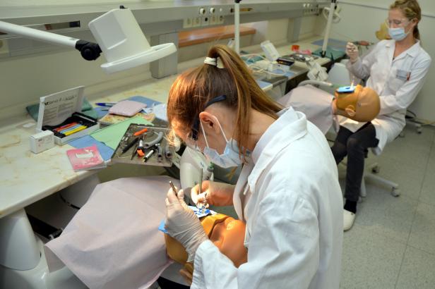 

Ostravská lékařská fakulta po prázdninách neotevře obor stomatologie. Stále nezískala akreditaci

