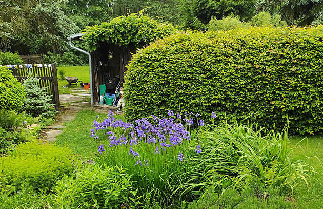 Svažitá zahrada u chalupy v severních Čechách dává zabrat a dělá radost