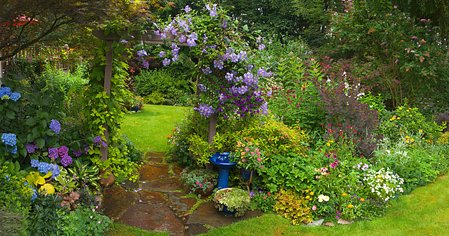 ANKETA: Vyberte zahrady, které si získaly váš obdiv. Odměníme majitele