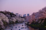 Guide to Tokio: Utopický sen o městě, kde vše funguje