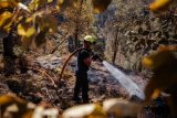 Hasičům v Českém Švýcarsku zbývá dohasit desetinu původní plochy. Našli ohniska u Pravčické brány