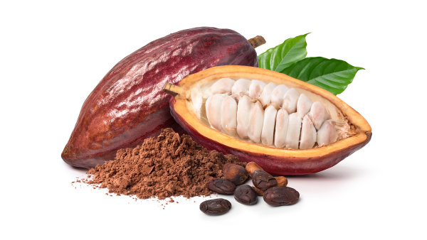 Kakao umí snížit vysoký tlak. Zdravým lidempřitom jejich normální tlak nemění