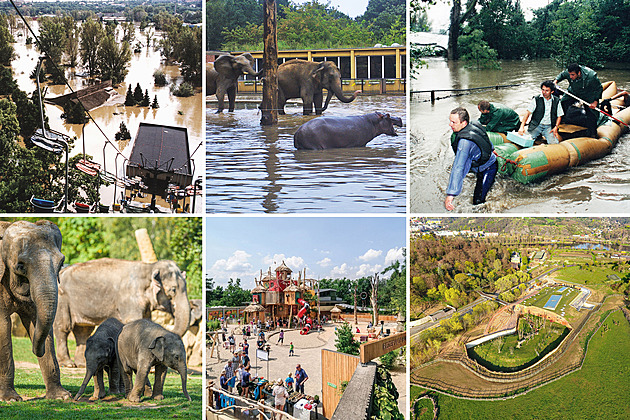 OBRAZEM: Po stopách fotografií z povodní 2002 v Zoo Praha po 20 letech