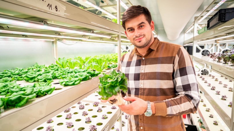 České saláty porostou v Arábii. Pražský startup buduje své farmy přímo v místních supermarketech