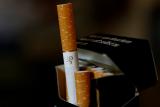 Celníci odkryli mezinárodní skupinu nelegálních výrobců cigaret, daňové úniky přesáhly 170 milionů