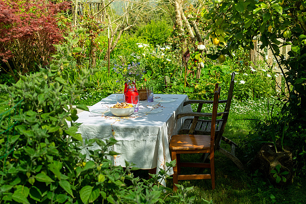 ANKETA: Vyberte zahrady, které si zaslouží obdiv. Majitelé dostanou odměnu