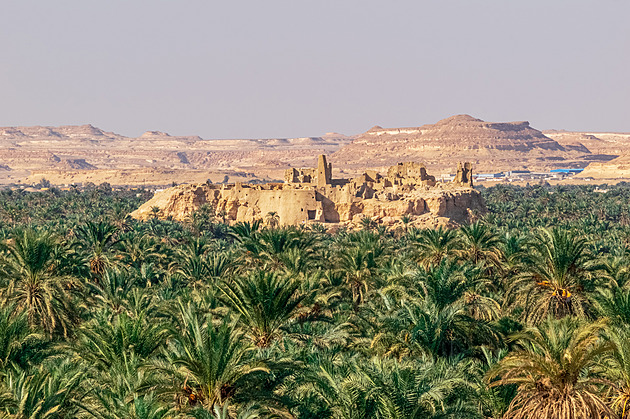Perla vyprahlé pouště. Egyptská oáza Síwa nabízí stín palem i koupání