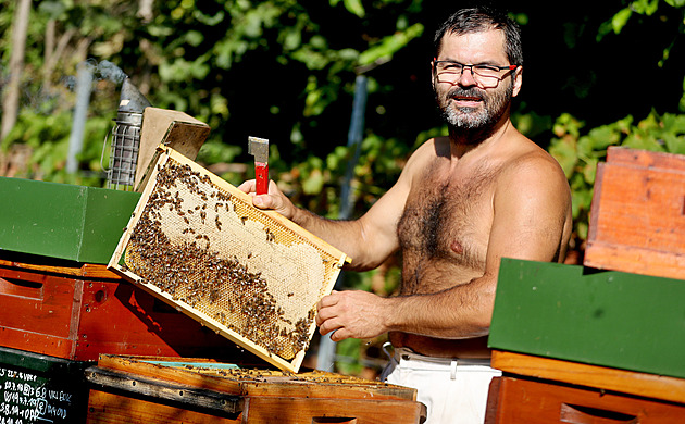 I mně občas uletí včely, popisuje velkochovatel osmi stovek včelstev