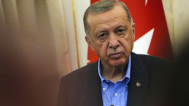 Erdogan žaluje německého politika za pomluvu, nazval prezidenta krysou