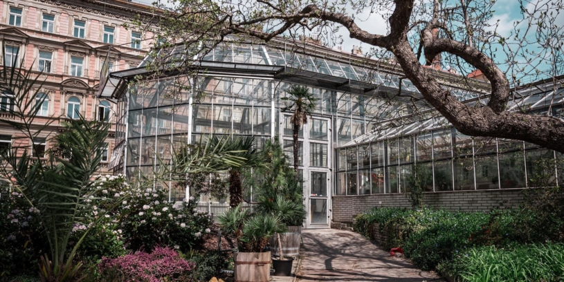 Tip na víkendový výlet. Kouzelná botanická zahrada ukrytá v centru Prahy