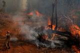 Amazonský prales postihlo v září více než 41 tisíc požárů. To je nejvíc za 12 let