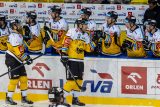 Souboj nejhorších týmů hokejové extraligy ovládl Litvínov, Karlovy Vary přehrál 4:1. Slaví i Liberec
