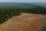 Odlesňováním Amazonie se blížíme k bodu zlomu, kdy dojde k nenávratnému přerušení koloběhu vody