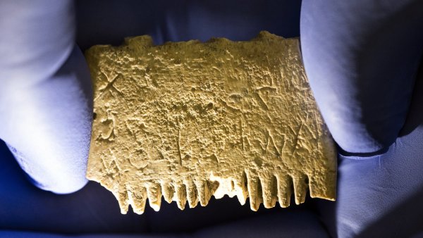 Nejstarší známou větu sepsanou s pomocí abecedy nese hřeben. Před 3700 lety si její autor přál zbavit se vší