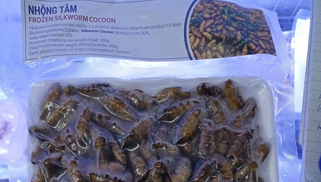 Ve skladu potravin našla veterinární správa mražené larvy bource morušového