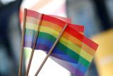 Polský soud zprostil manažerku IKEA obvinění z diskriminace, vyhodila muže za výroky proti gayům