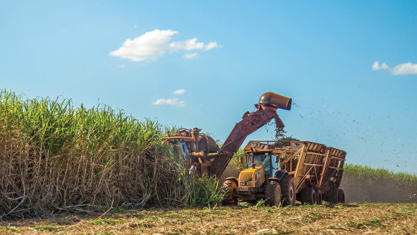 Američtí zemědělci hledají cestu kudržitelnosti, chemie se však vzdát nechtějí