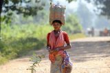 Obchodníci s lidmi prodávají indické ženy za desítky dolarů, důvodem je chudoba v zemi