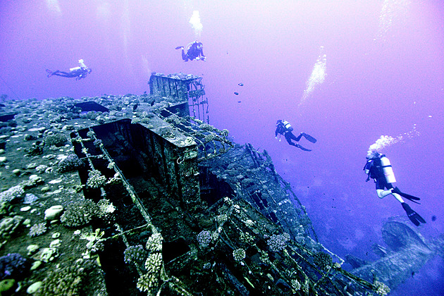 Z britské muniční lodi z druhé světové války se stal úchvatný korálový útes